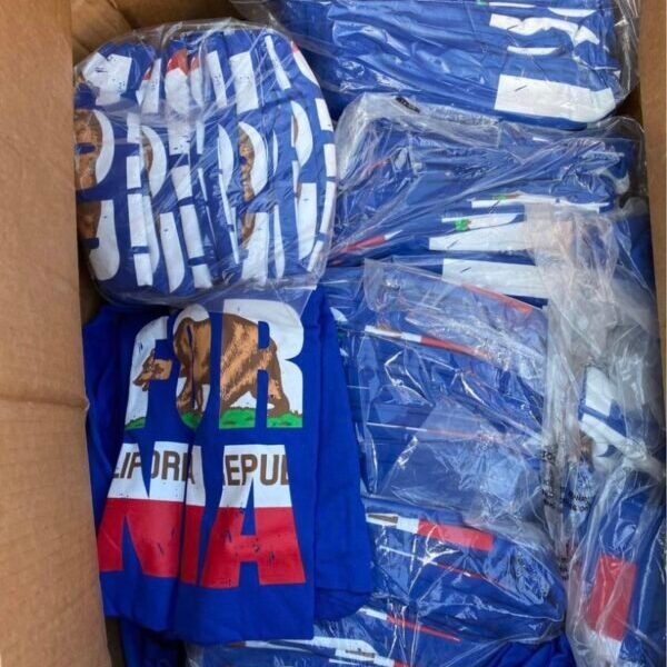 California Republic T-Shirts - Bulk Pallet Liquidation